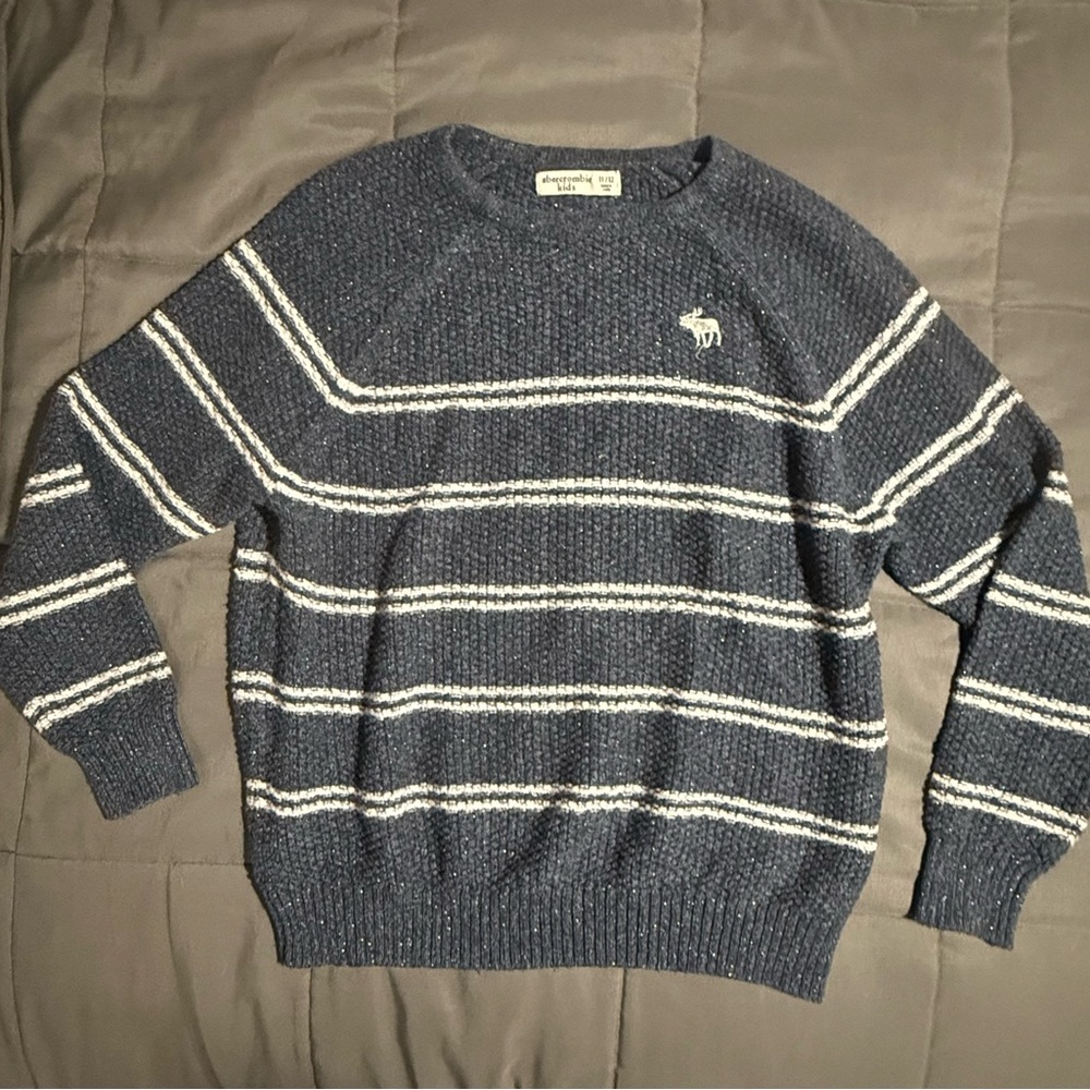 Abercrombie & Fitch Blue and White Crewneck Sweater